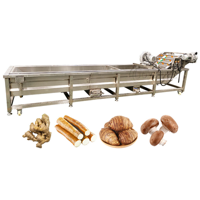 Custom Accepted Wide Range Application Citrus Dragon Fruit Washing Machine 220v/380v