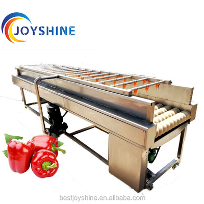 Custom Accepted Wide Range Application Citrus Dragon Fruit Washing Machine 220v/380v