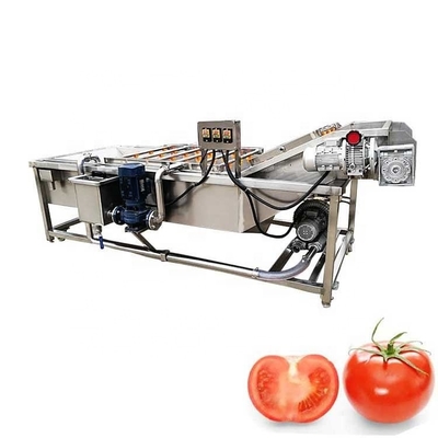 Custom Automatic Fruit Industrial Vegetable Washer For Fruit Processing Plant