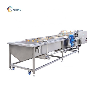 Custom Automatic Fruit Industrial Vegetable Washer For Fruit Processing Plant