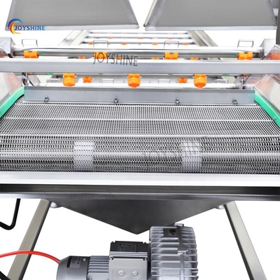 Custom Automatic Fruit Industrial Vegetable Washer For Fruit Processing Plant
