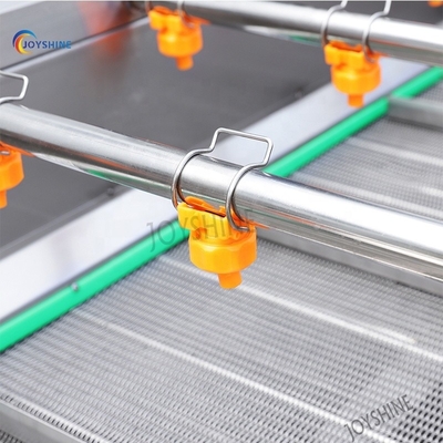 Custom Automatic Fruit Industrial Vegetable Washer For Fruit Processing Plant