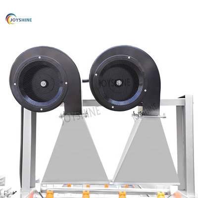 Custom Automatic Fruit Industrial Vegetable Washer For Fruit Processing Plant