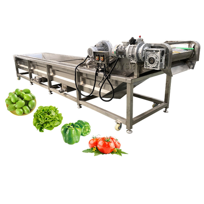 Automatic Fruits Vegetable Processing Line Industrial Air Bubble Wash Machine