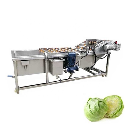 Vegetable Crayfish Avocado Chili Pepper Date Air Bubble Washing Machine 600KG Small Scale