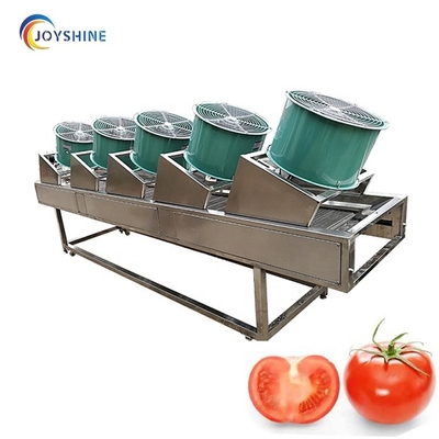 220V 380V Air Drying Machine For Fruit And Vegetable Food Potato Chips Dehydration