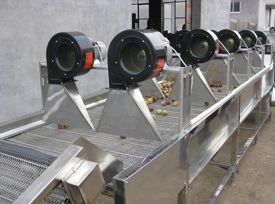 Dates Processing Machine Industrial Air Drying Machine For Fruits And Vegetables