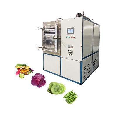 220V Freeze Dryer With 200kg/H Evaporation Capacity In 40 Feet Container