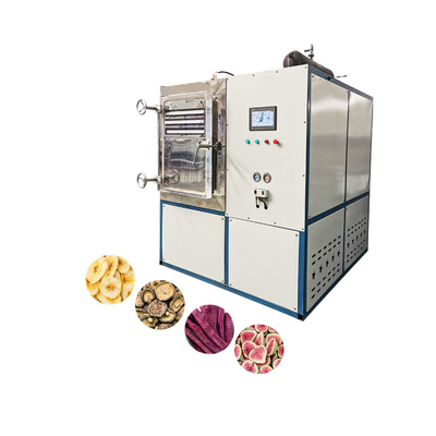 220V Freeze Dryer With 200kg/H Evaporation Capacity In 40 Feet Container