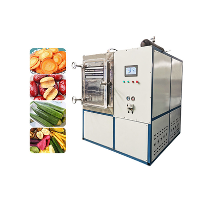 220V Freeze Dryer With 200kg/H Evaporation Capacity In 40 Feet Container