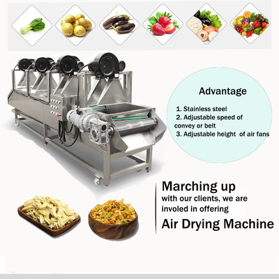 Industrial Mesh Belt Vegetable Dewatering Air Drying Line With 420KG Capacity
