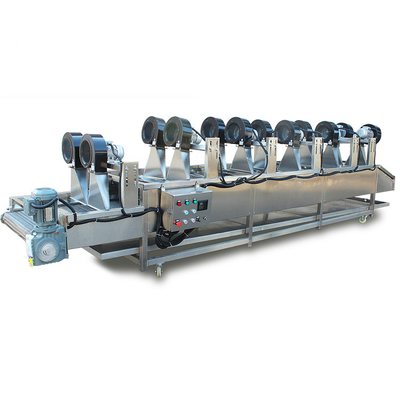 Industrial Mesh Belt Vegetable Dewatering Air Drying Line With 420KG Capacity