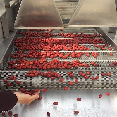 4000 X 1200 X 1600mm Automatic Potato Chips French Fries Dryer Machine