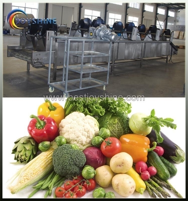 SUS304 Stainless Steel Commercial Fruit And Vegetable Drying Machine