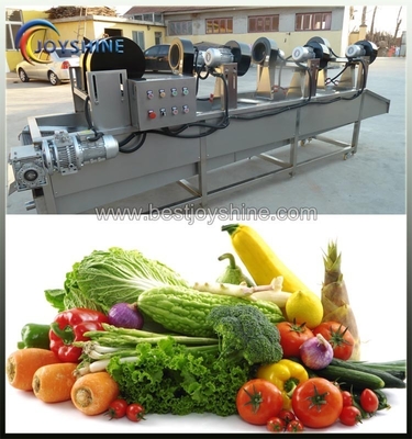SUS304 Stainless Steel Commercial Fruit And Vegetable Drying Machine
