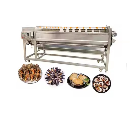 Fully Automatic Spiral Roller Washing And Peeling Machine