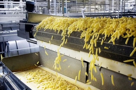 Industrial French Fries Production Line for Finished Products Potato Chips French Fries