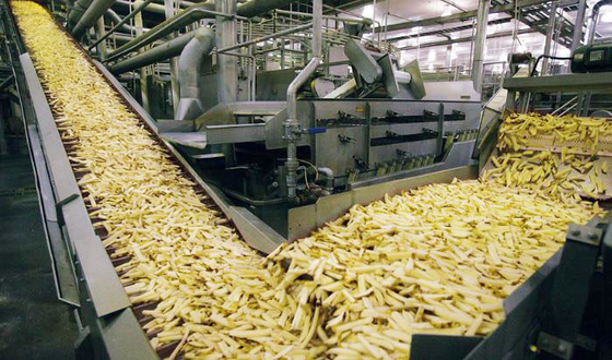 Fully Automatic Potato Chips & French Fries Production Line for Industrial Use