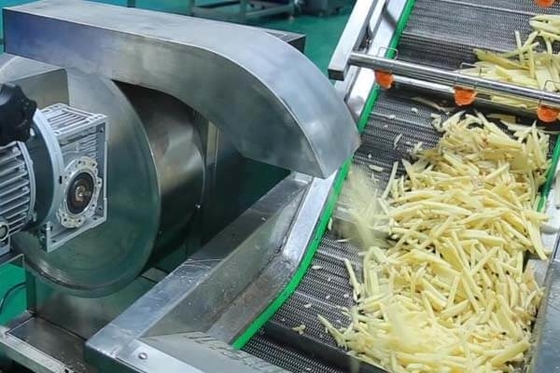 Fully Automatic French Fries & Potato Chips Production Line | High-Efficiency Industrial Food Processing Equipment
