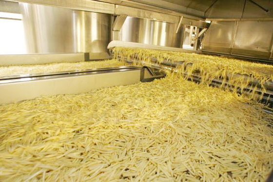 High-Capacity French Fries Production Line | Fully Automatic, Efficient & Customizable for Food Processing Plants