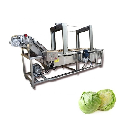2000kg/H Bubble Brush Citrus Fruit And Vegetable Washing Machine Hotels