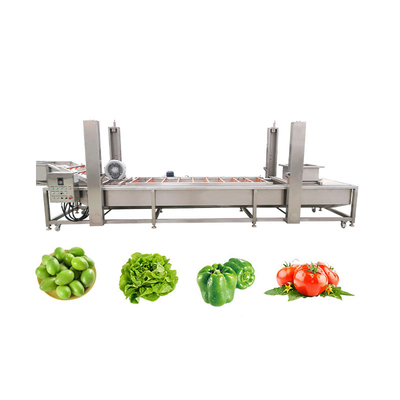 Versatile Automatic Vegetable and Fruit Bubble Cleaning Machine with Custom Options