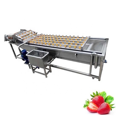 Vegetable Crayfish Avocado Chili Pepper Date Air Bubble Washing Machine 600KG Small Scale